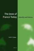 The Jews of France Today (Paperback)