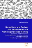 Darstellung und Analyse von Instrumenten zur Währungsrisikoabsicherung