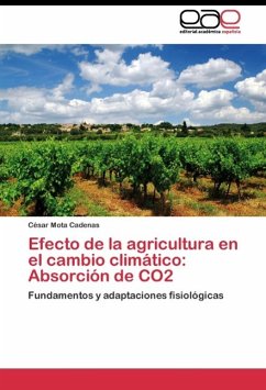 Efecto de la agricultura en el cambio climático: Absorción de CO2