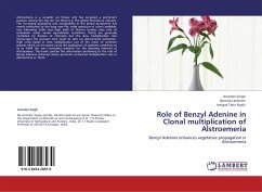 Role of Benzyl Adenine in Clonal multiplication of Alstroemeria