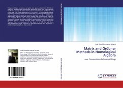 Matrix and Gröbner Methods in Homological Algebra