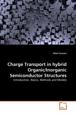 Charge Transport in hybrid Organic/Inorganic Semiconductor Structures - Hussain, Afzal