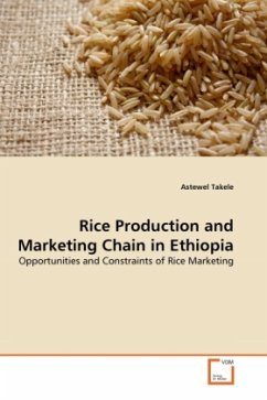 Rice Production and Marketing Chain in Ethiopia - Takele, Astewel