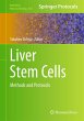 Liver Stem Cells - Bild 1