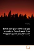 Estimating greenhouse gas emissions from forest fires