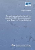 Kurzzeitbruchwahrscheinlichkeit von keramischen SSiC-Schneckenmodulen unter Biege- und Torsionsbelastung