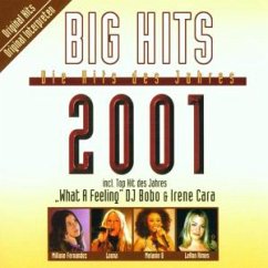 Big Hits 2001 - Dj Bobo/Loona/No Angels/+