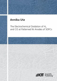 The Electrochemical Oxidation of H2 and CO at Patterned Ni Anodes of SOFCs - Utz, Annika