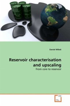 Reservoir characterisation and upscaling - Mikes, Daniel