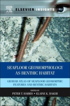 Cover Seafloor Geomorphology as Benthic Habitat