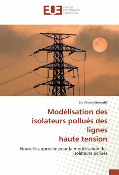 Modélisation des isolateurs pollués des lignes haute tension - Bessedik, Sid Ahmed