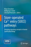 Store-operated Ca2+ entry (SOCE) pathways