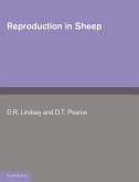 Reproduction in Sheep