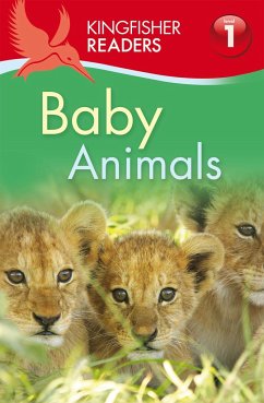 Baby Animals - Feldman, Thea