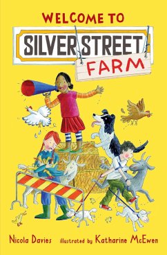 Welcome to Silver Street Farm - Davies, Nicola