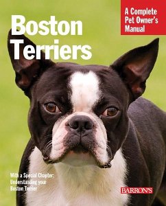 Boston Terriers - Bulanda, Susan