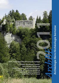 Archäologie Bern. Jahrbuch des Archäologischen Dienstes des Kantons Bern 2011