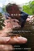 Wading for Bugs: Exploring Streams with the Experts