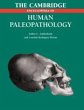 The Cambridge Encyclopedia of Human... - Bild 1