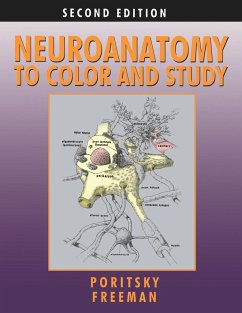 Neuroanatomy to Color and Study - Poritsky, Ray; Freeman, Barbara K