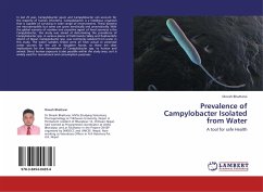 Prevalence of Campylobacter Isolated from Water