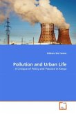 Pollution and Urban Life