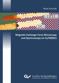 Magnetic Exchange Force Microscopy and Spectroscopy on Fe/W(001) - Schmidt, René
