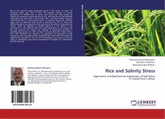 Rice and Salinity Stress