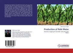 Production of Rabi Maize
