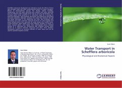 Water Transport in Schefflera arboricola