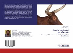 Taenia saginata/ cysticercosis