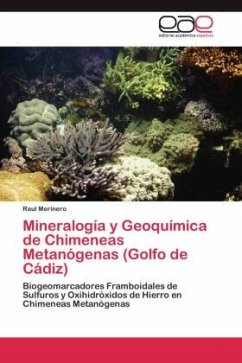 Mineralogía y Geoquímica de Chimeneas Metanógenas (Golfo de Cádiz) - Merinero, Raul