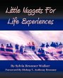 Little Nuggets for Life's Experiences - Bild 1