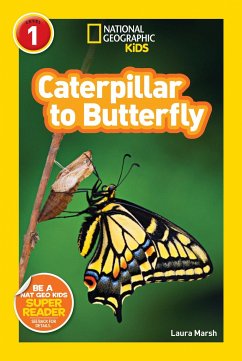 Caterpillar to Butterfly - Marsh, Laura