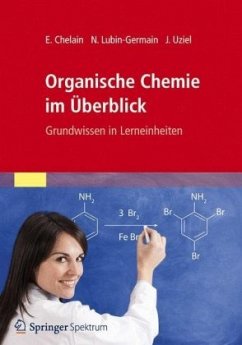 Organische Chemie im Überblick - Lubin-Germain, Nadège;Uziel, Jacques;Chelain, Evelyne