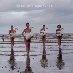 Cover Build Me A Swan