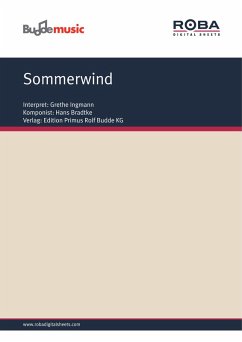 Sommerwind (eBook, ePUB) - Mayer, Henry; Bradtke, Hans