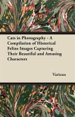 Cats in Photography - A Compilation of Historical Feline Images Capturing Their Beautiful and Amusing Characters