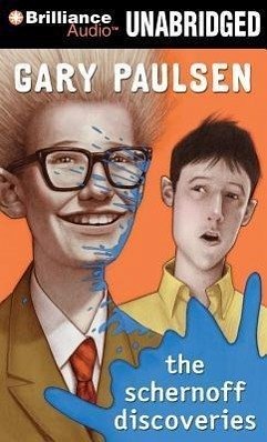 Cover The Schernoff Discoveries