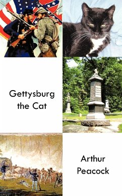 Gettysburg the Cat - Peacock, Arthur