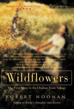 Wildflowers - Noonan, Robert