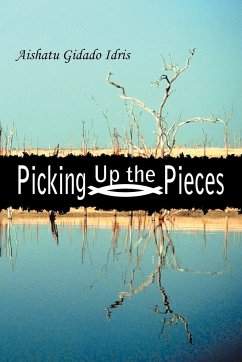 Picking Up the Pieces - Idris, Aishatu Gidado
