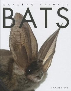 Bats - Riggs, Kate