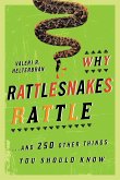 Why Rattlesnakes Rattle