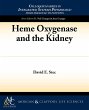 Heme Oxygenase and the Kidney - Bild 1