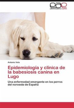 Epidemiología y clínica de la babesiosis canina en Lugo - Vela, Antonio