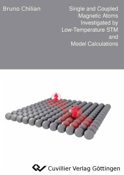 Single and Coupled Magnetic Atoms Investigated by Low-Temperature STM and Model Calculations - Chilian, Bruno