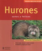 Hurones : sanos y felices