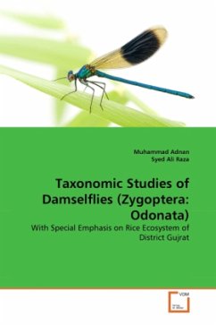 Taxonomic Studies of Damselflies (Zygoptera: Odonata) - Adnan, Muhammad;Ali Raza, Syed