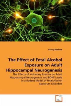 The Effect of Fetal Alcohol Exposure on Adult Hippocampal Neurogenesis - Boehme, Fanny